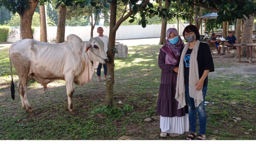 ITD ADISUTJIPTO BAGIKAN HEWAN KURBAN KE WARGA SEKITAR KAMPUS